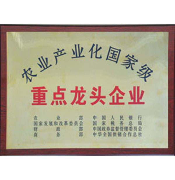 农业工业化国际级重点龙头企业
