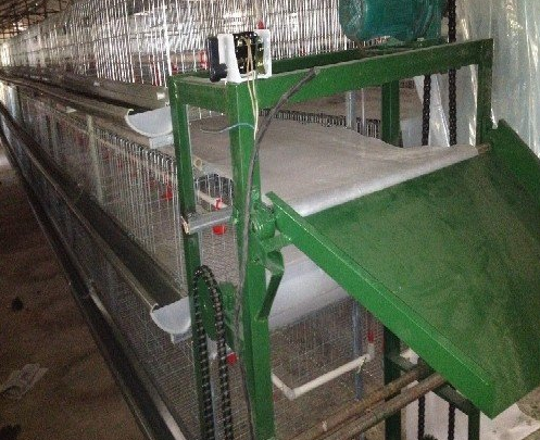 蛋鸡装备传送带式清粪机常见的这些问题你都知道吗？？？