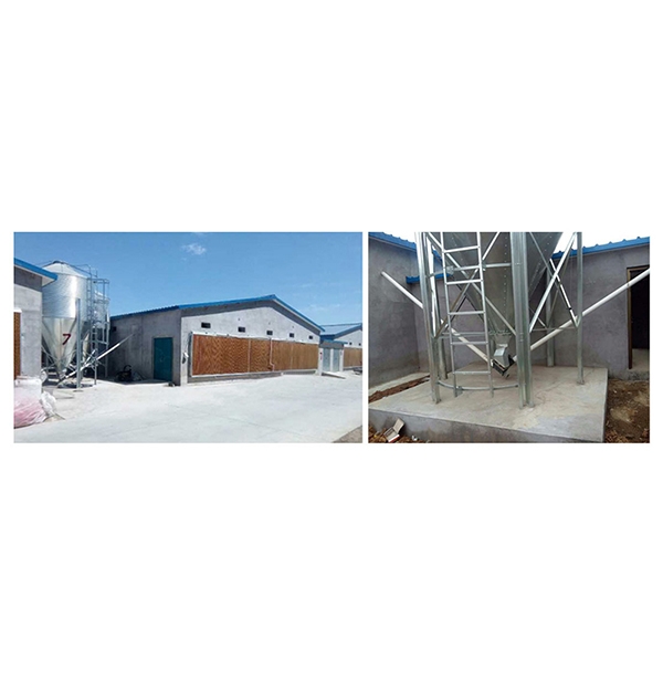 永州肉鸡自动送料系统