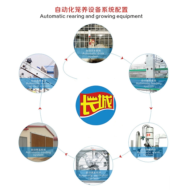 唐山肉鸡自动饮水系统