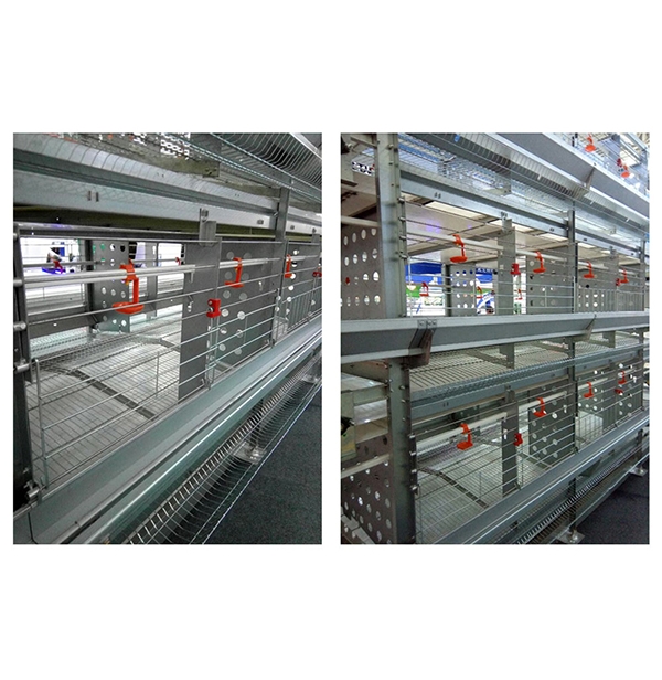 澄迈县层叠式种鸡笼养装备