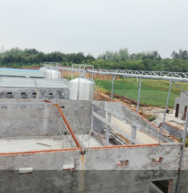 商洛蛋鸡自动送料系统