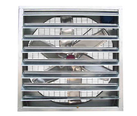 怎样确保蛋鸡装备有用透风？？