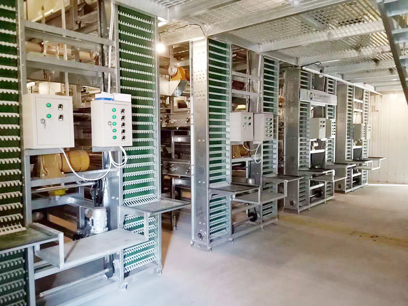 蛋鸡装备的养殖密度是怎样的呢？